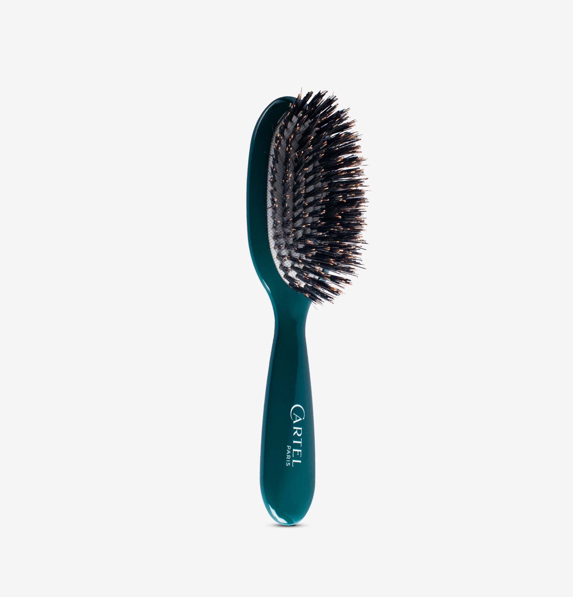 Petite Brosse à Cheveux Brillance